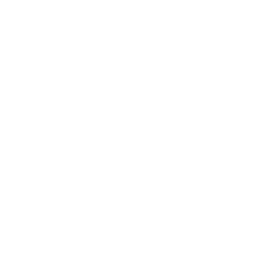 Small White Logo